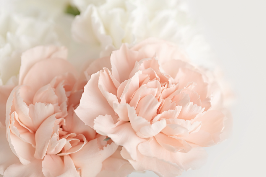 Celebrating Mother’s Day with the Language of Flowers